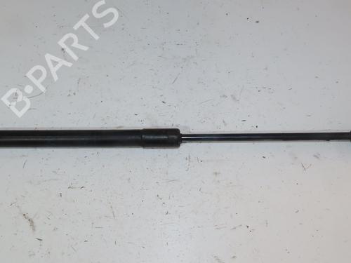 Used Hood lift support BMW X6 (E71, E72) xDrive 30 d (235 hp) 28330955
