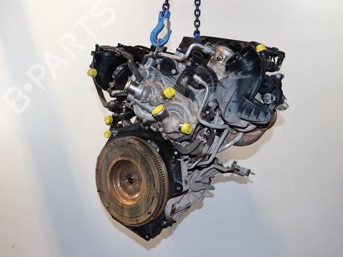 Motor VW T-CROSS (C11, D31) 1.0 TSi (95 hp) 24486280