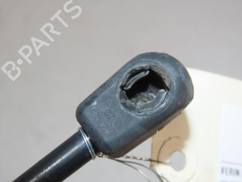 Tailgate lift support VW GOLF VI (5K1) 1.6 TDI | BP30048075C138 