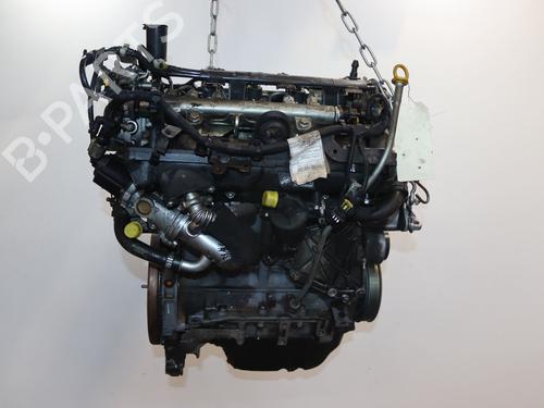 Engine FIAT 500 (312_) 1.3 D Multijet (312AXB1A) | BP27886996M1