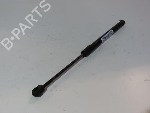 Used Tailgate lift support RENAULT MEGANE III Hatchback (BZ0/1_, B3_) 1.5 dCi (86 hp) 17996462