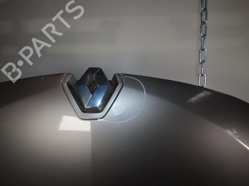 Hood RENAULT MEGANE III Coupe (DZ0/1_) 1.5 dCi (DZ0A) | BP20077913C1 