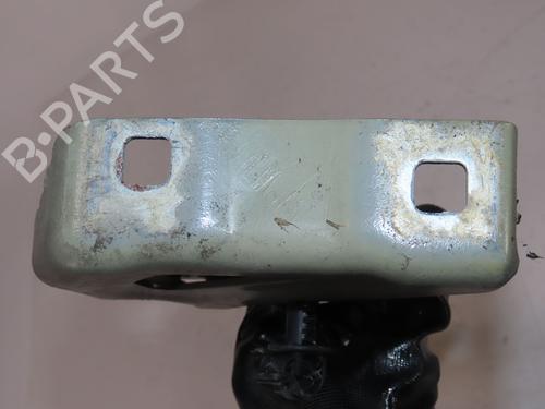 hingedoor-check-strap-fiat-doblo-cargo-263_-2010-33997898 main image