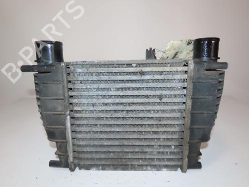 Intercooler RENAULT CLIO III (BR0/1, CR0/1) 1.5 dCi (C/BR0G, C/BR1G) | BP27246061M30 - Image 3