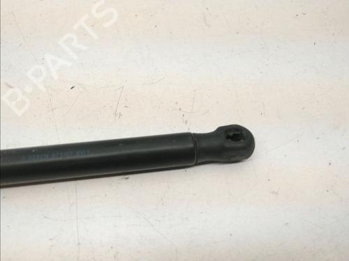 Hood lift support AUDI A8 D3 (4E2, 4E8) 3.0 TDI quattro | BP14960295C139 