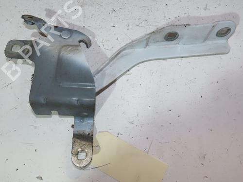 Hinge/Door check strap RENAULT CLIO IV (BH_) 1.5 dCi 75 | BP29516582C146 