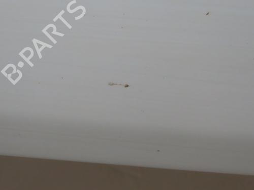Right front door VW POLO V (6R1, 6C1) 1.2 TSI 16V | BP24832920C3 