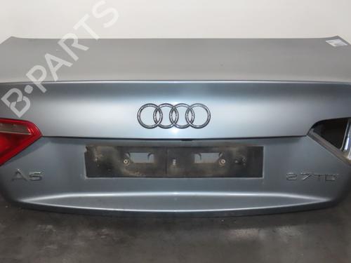 Bagklap CC/Kombi-Coupé AUDI A5 (8T3) 2.7 TDI | BP29016628C6