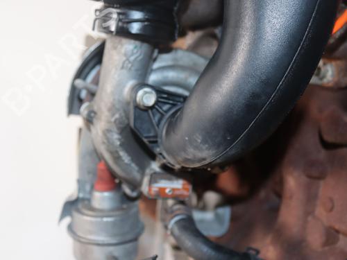 Used Engine RENAULT SCÉNIC III (JZ0/1_) 1.5 dCi (110 hp) 31179391