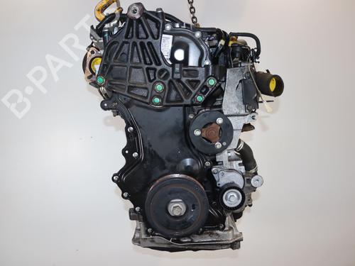 Engine RENAULT KOLEOS I (HY_) 2.0 dCi 4x4 (HY0K) | BP40051527M1 - Image 6