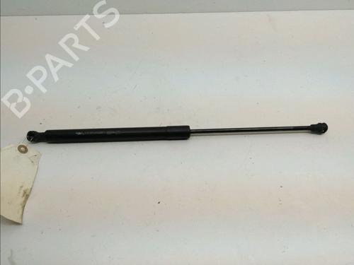 Used Tailgate lift support CITROËN C3 II (SC_) 1.4 HDi 70 (SC8HZC, SC8HR0, SC8HP4) (68 hp) 14899445