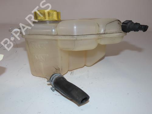 Expansion tank FORD FIESTA V (JH_, JD_) 1.25 16V | BP25040972C120 