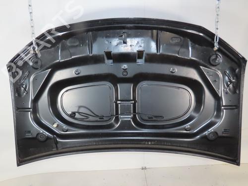 Used Hood DACIA SANDERO II 1.2 (73 hp) 28121082