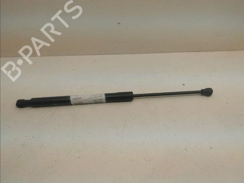 Used Hood lift support DACIA LODGY (JS_) 1.5 dCi (90 hp) 15378872
