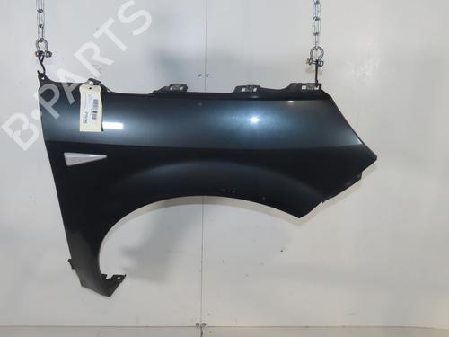Right front fenders RENAULT SCÉNIC II (JM0/1_) 1.5 dCi (JM1E, JM16) | BP31843868C42 