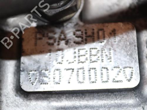 Engine PEUGEOT 3008 I MPV (0U_) 1.6 HDi | BP29819029M1