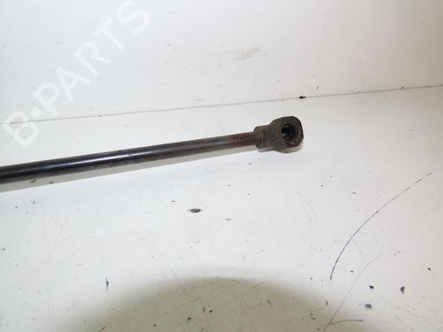 Hood lift support RENAULT KANGOO Express (FW0/1_) 1.5 dCi 75 (FW07, FW10, FW04) | BP23162360C139 