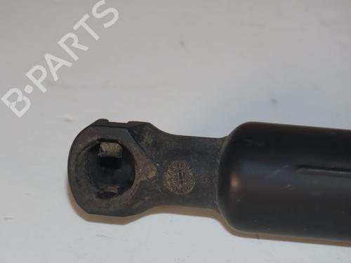 Used Tailgate lift support RENAULT SCÉNIC III (JZ0/1_) 1.5 dCi (110 hp) 30825234