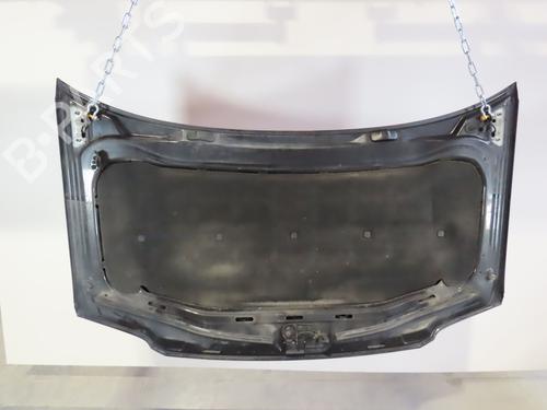 Hood VW TOURAN (1T1, 1T2) 2.0 TDI 16V | BP17528112C1 