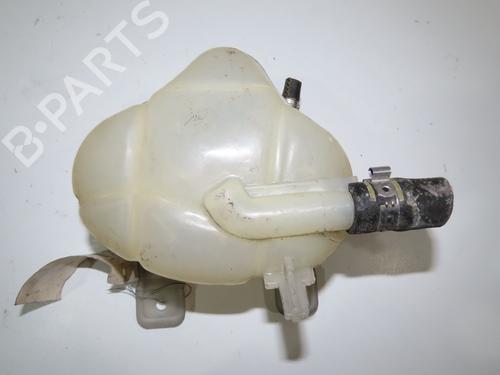 Expansion tank FIAT GRANDE PUNTO (199_) 1.3 D Multijet (199.AXD11, 199.AXD1A, 199.AXD1B,... | BP23159786C120