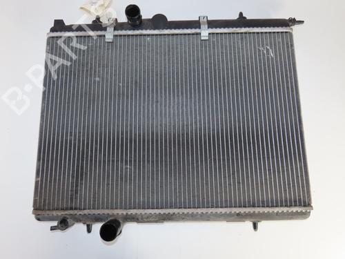 Water radiator PEUGEOT 206 Hatchback (2A/C) 1.4 HDi eco 70 | BP30691131M31