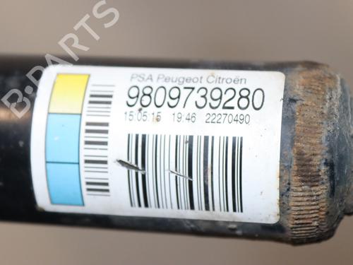 Used Left rear shock absorber CITROËN C4 CACTUS 1.2 VTi 82 (82 hp) 23160557
