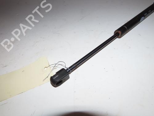 Tailgate lift support RENAULT AVANTIME (DE0_) 2.2 dCi (DE01) | BP18352609C138