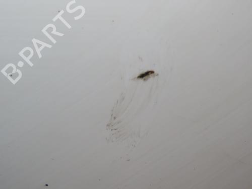 Used Left front door RENAULT MEGANE III Hatchback (BZ0/1_, B3_) 1.5 dCi (BZ0C) (90 hp) 27095352