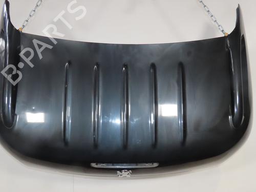Tailgate PEUGEOT 206 CC (2D) 1.6 HDi 110 | BP28833570C6 