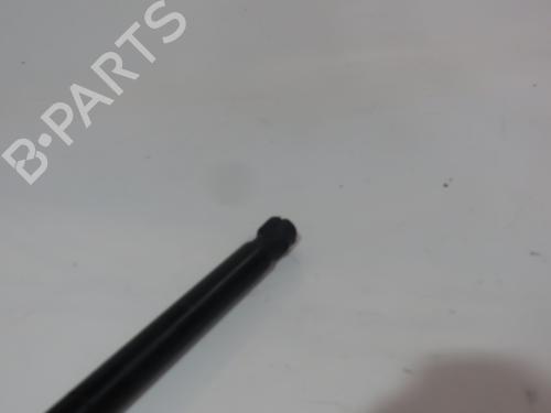 Hood lift support LAND ROVER RANGE ROVER EVOQUE (L538) 2.2 D 4x4 | BP17514700C139 