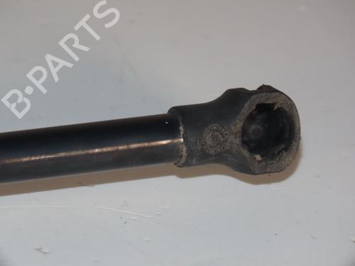 Tailgate lift support RENAULT SCÉNIC III (JZ0/1_) 1.5 dCi | BP30825234C138