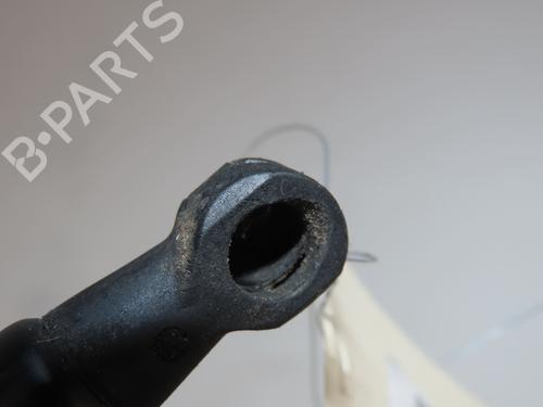 Tailgate lift support RENAULT LAGUNA III Grandtour (KT0/1) 2.0 dCi (KT07, KT0J, KT14, KT1A, KT1S) | BP30164785C138