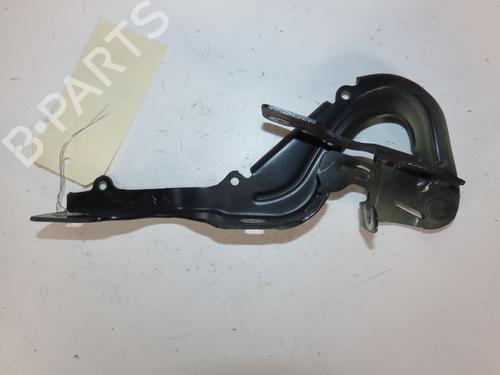 hingedoor-check-strap-citroen-c3-iii-sx-2016-31796438 main image