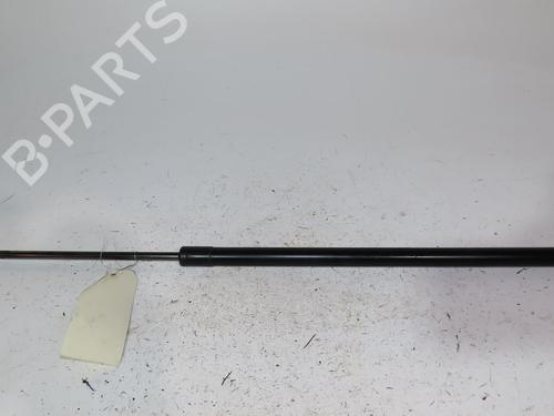 tailgate-lift-support-ford-kuga-ii-dm2-2012-24489420 main image