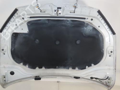 Used Hood VW GOLF VII (5G1, BQ1, BE1, BE2) 2.0 GTD (184 hp) 29819145