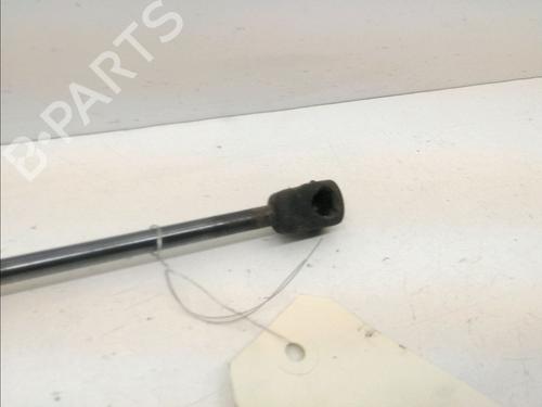 Hood lift support VW TOUAREG (7P5, 7P6) 3.0 V6 TDI | BP15276531C139 
