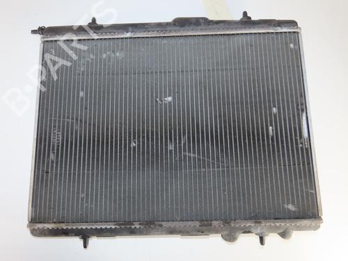 Kjøler PEUGEOT 206 Hatchback (2A/C) 1.4 HDi eco 70 (68 hp) 30691131