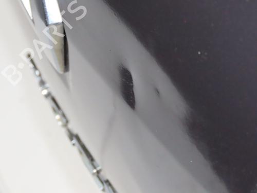 Bagklap CC/Kombi-Coupé RENAULT SCÉNIC III (JZ0/1_) 1.9 dCi (JZ0J, JZ1J, JZ1K, JZ1S) (131 hp) 32486977