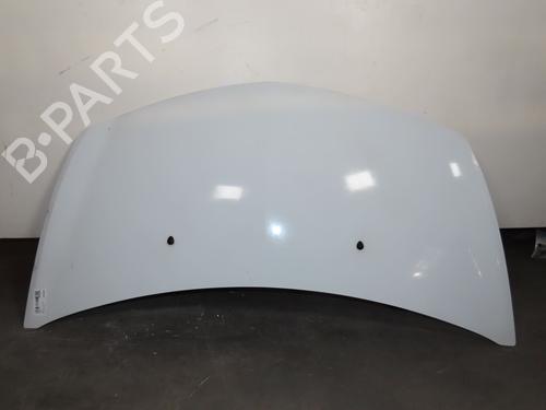 Used Hood RENAULT CLIO III (BR0/1, CR0/1) 1.5 dCi (75 hp) 20299744
