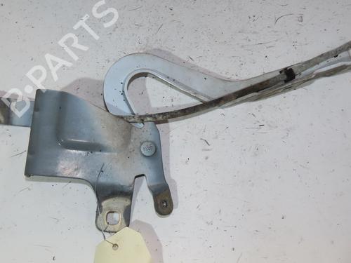 Hinge/Door check strap RENAULT CLIO IV (BH_) 1.5 dCi 75 | BP29516581C146 