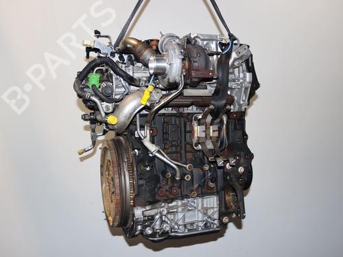 Engine RENAULT KOLEOS I (HY_) 2.0 dCi (HY0K) | BP24486221M1 