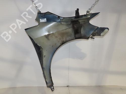 Left front fenders VW GOLF PLUS V (5M1, 521) 1.9 TDI | BP30117716C41