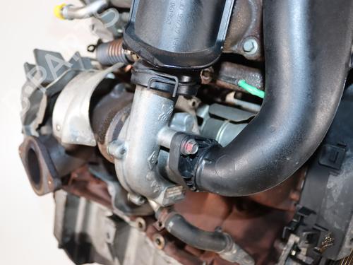 Used Engine Engine RENAULT KANGOO / GRAND KANGOO II (KW0/1_) 1.5 dCi 90 (KW05, KW08, KW0G, KW11) (90 hp) 39937181 39937181