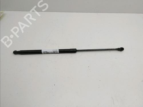 Used Tailgate lift support AUDI A3 (8P1) 1.9 TDI (105 hp) 23164214