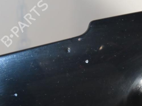 Used Hood PEUGEOT 206 Hatchback (2A/C) 2.0 HDI 90 (90 hp) 24157934