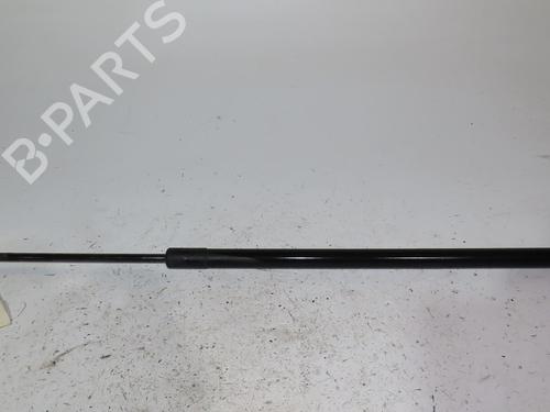 tailgate-lift-support-ford-kuga-ii-dm2-2012-24489427 main image