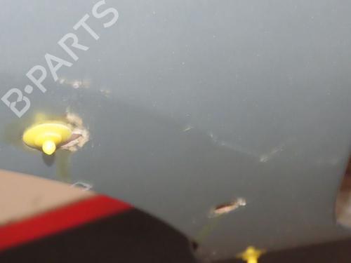 Used Left front fenders RENAULT KANGOO (KC0/1_) 1.9 dCi 4x4 (KC0V) (80 hp) 23162114