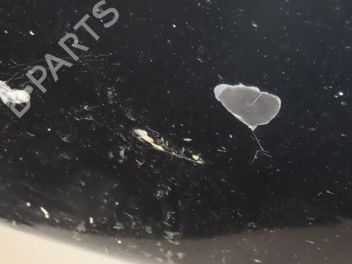 Front bumper JEEP PATRIOT (MK74) 2.0 CRD 4x4 | BP27246189C7