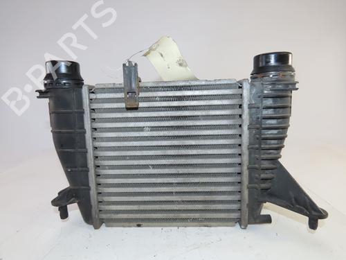 Intercooler DACIA DUSTER (HS_) 1.5 dCi (HSMC) | BP36445186M30 - Image 2