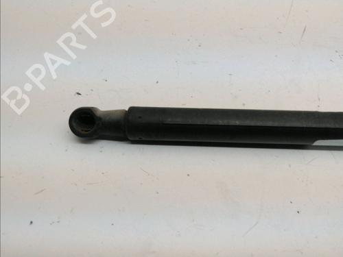 Tailgate lift support AUDI A3 (8P1) 1.9 TDI | BP23164214C138 